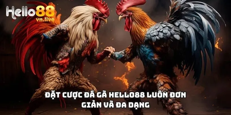 Đặt cược đá gà Hello88 luôn đơn giản và đa dạng