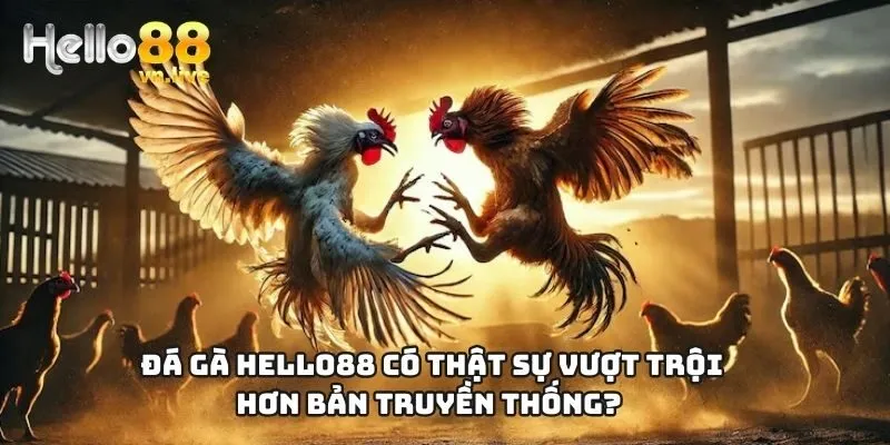 Đá gà Hello88 có thật sự vượt trội hơn bản truyền thống?