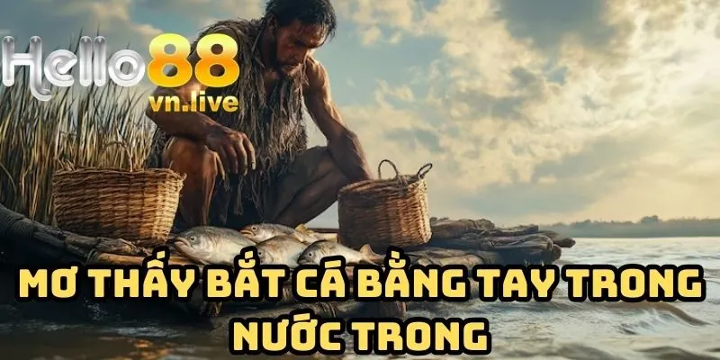 Mơ thấy bắt cá bằng tay trong nước trong