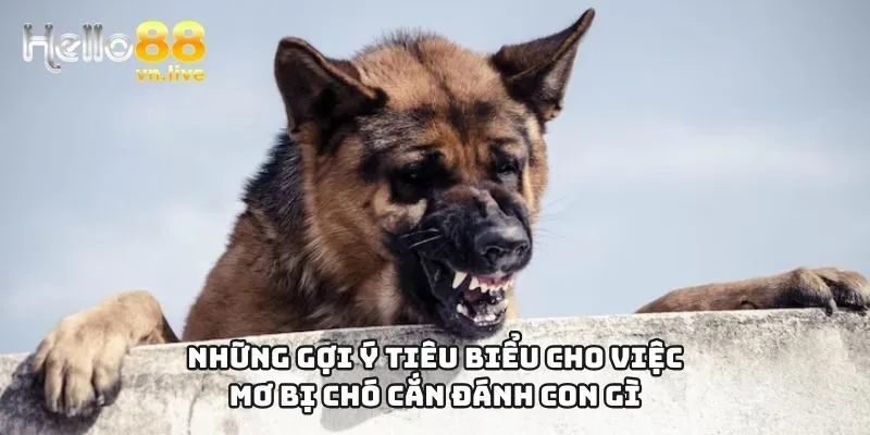 Những gợi ý tiêu biểu cho việc mơ bị chó cắn đánh con gì